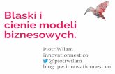 Blaski i cienie modeli biznesowych - internetbeta 2013 - Piotr Wilam