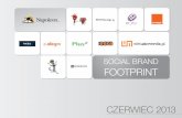 Social Brand Footprint - czerwiec 2013