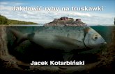 infoShare 2014: Jacek Kotarbiński, Jak łowić ryby na truskawki