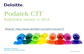 Zmiany CIT w 2014 - system podatkowy zostanie uszczelniony