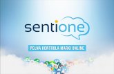 SentiOne - Monitoring Internetu
