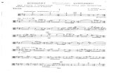 Bunin Viola Concerto Viola Part (1)