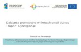 Dzialania promocyjne w firmach small biznes- raport  Synergian.pl