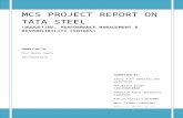 Management Control System Tata Steel