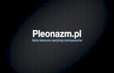 Pleonazm.pl – jak to działa