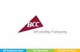 BCC SAP consulting. IToutsourcing