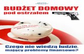 Adrian Hinc - Budżet Domowy Pod Ostrzałem pobierz darmowy ebook pdf