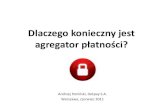 Agregator platnosci - Dotpay - eHandel 2011