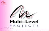 Prezentacja Multi-Level Projects