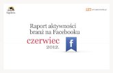 Napoleon. Raport aktywności branż na Facebooku - czerwiec 2012
