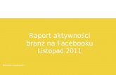 Raport aktywności branż na Facebooku Listopad 2011