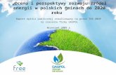 Ocena i perspektywy rozwoju źródeł energii w polskich gminach do 2020 roku