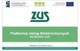 Platforma Usług Elektronicznych dla klientów ZUS
