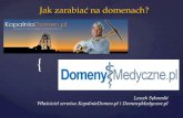 Leszek Sękowski, "Jak zarabiać na domenach?"