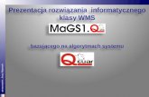 Magazynowy system WMS MaGS1.Q