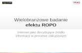 Wielobranżowe badanie ROPO - raport