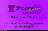 V Targi eHandlu Warsztaty Iwo Szapar - Shopgate
