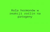 Rola HormonóW W Reakcji Na Patogeny