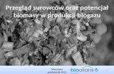 Surowce i biomasa - Marek Biedrzycki