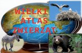 Atlas zwierząt