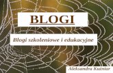 Blogi edukacyjne - Aleksandra Kuźniar