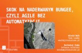 InfoShare 2014: Skok na naderwanym bungee, czyli agile bez automatyzacji