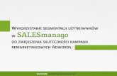 Wykorzystanie segmentacji użytkowników w SALESmanago do zwiększenia skuteczności kampanii remarketingowych w Adwords