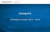 Netsprint - zmiany właścicielskie i strategia 2014-2016