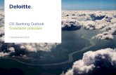 CE Banking Outlook 2014