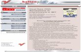 Visual Basic 2005. Wprowadzenie do programowania w .NET