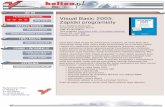 Visual Basic 2005. Zapiski programisty