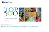 CE TOP 500 - Największe firmy Europy Środkowej 2013