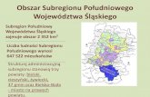 Rola miasta Bielsko-Biała w Subregionie Południowym, a także wyzwania stojące przed miastem w latach 2014-2020