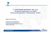 7 Program ramowy oraz program CIP dla sektora ICT