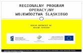 Regionalny Program Operacyjny Województwa Śląskiego na lata 2007-2013 - podstawowe informacje