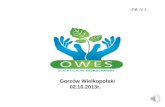 Działania OWES w Gorzowie Wlkp. (2013)