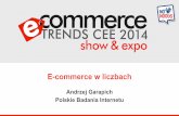 E-commerce: jak polscy internauci robią zakupy w sieci oraz co kupują?