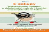 Ebook - Wykorzystanie Internetu w dzialalnosci malych i srednich przedsiebiorstw w Polsce - Poradnik pdf do pobrania za darmo pl