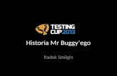Historia Mr Buggy'ego czyli Mistrzostwa Polski w Testowaniu Oprogramowania - TestingCup 2013