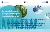 Radoslaw Dziuba - Analiza mozliwosci wdrozeniowych zalozen hotelu ekologicznego w regionie lodzkim