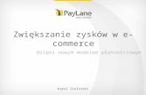 Zwiększanie zysków w e-commerce dzięki nowym modelom płatnościowym. InternetPoland 2011 [PL]