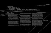 Krzysztof Korżyk, Percepcja: natura, struktura i funkcja
