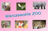 Zoo Warszawa
