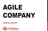 Agile company pl