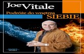 Joe Vitale - Podróże do wnętrza siebie