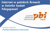 Internet w polskich firmach w świetle badań 15.01.2013