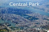 Central Park (NYC)
