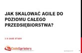 Jak skalować agile do poziomu całego przedsiębiorstwa? - Krystian Kaczor @ Agile Management 2014 Poland