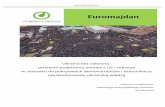 Raport euromajdan pl