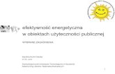 Warsztaty Energetyczne Heinrich-Böll-Stiftung - Kurtz efektywność 06-2013